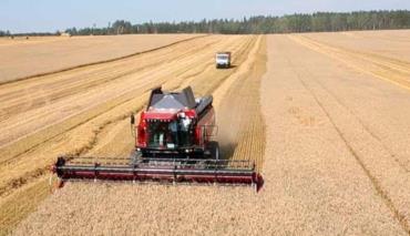 Лукашенко рассмотрит вопросы эффективности развития сельскохозяйственного производства 